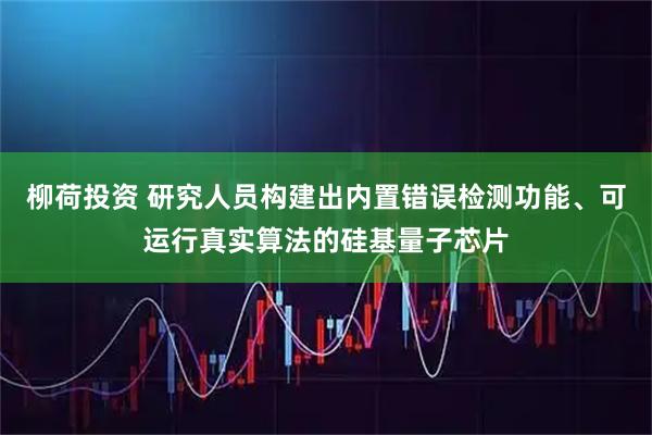 柳荷投资 研究人员构建出内置错误检测功能、可运行真实算法的硅基量子芯片