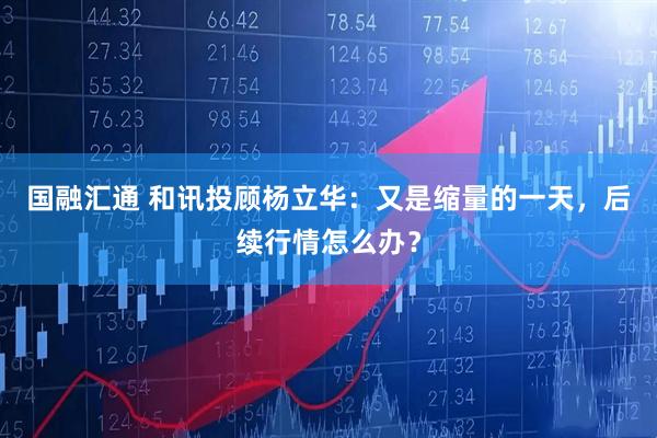 国融汇通 和讯投顾杨立华：又是缩量的一天，后续行情怎么办？